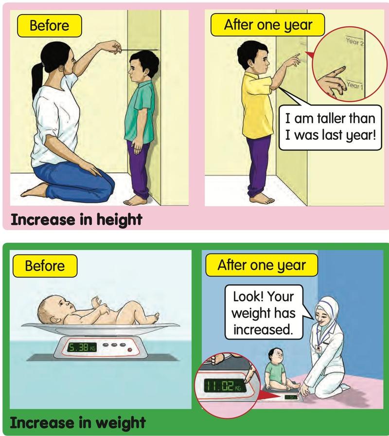 A boy measured against a wall, taller after one year; a baby on a weighing scale, heavier after one year