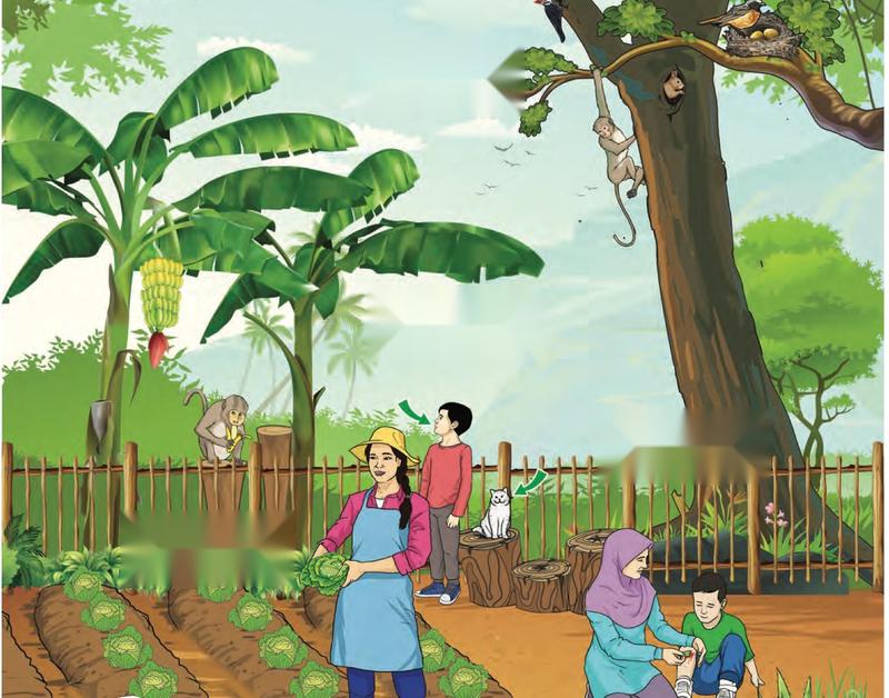 A garden with banana trees, vegetables, a big tree with a monkey and birds, and a person treating a wound with a plant