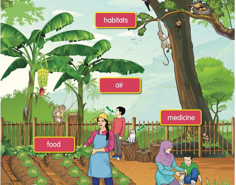 A garden scene with banana trees, vegetables, a big tree with a monkey and birds, and people using plants for food, air and medicine