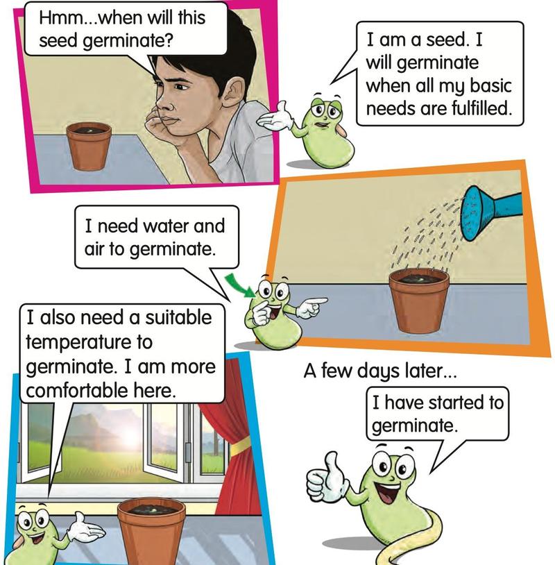 A seed in a pot on a table, being watered and kept in a warm place until it germinates