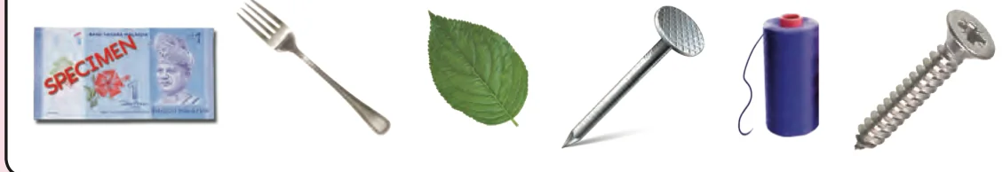 A banknote, a fork, a leaf, a nail, a reel of thread and a screw