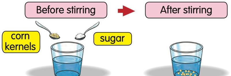 Sugar and corn kernels added to water; after stirring only the corn kernels can be seen