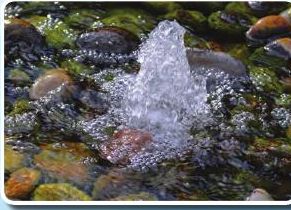Water bubbling out of the ground between stones