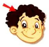 A boy with curly hair
