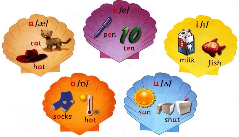 Shells showing a cat hat, e pen ten, i milk fish, o socks hot, u sun shut