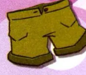 A pair of shorts
