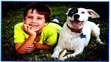 A boy lying on the grass with his dog