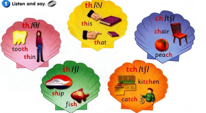 Phonics shells: th in tooth and thin, th in this and that, ch in chair and peach, sh in ship and fish, tch in kitchen and catch