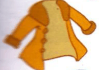An orange coat