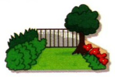 A garden with grass, a tree and flowers