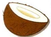 Half a coconut