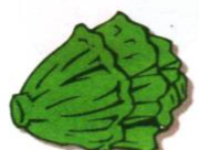 A lettuce