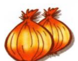 Two onions