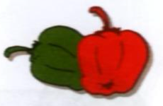 A green pepper and a red pepper