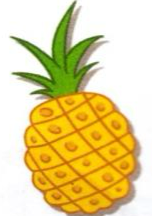 A pineapple
