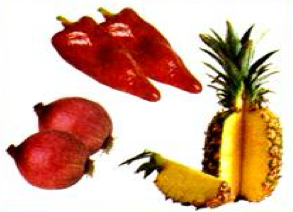 Red peppers, two onions and a pineapple