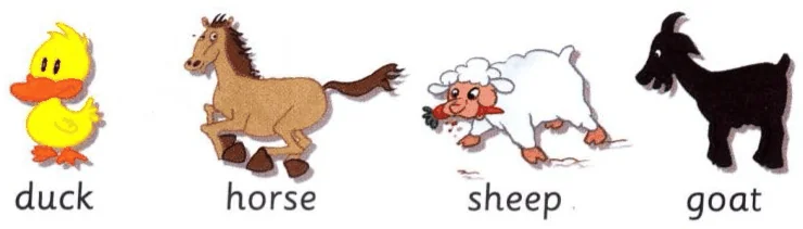 duck, horse, sheep, goat