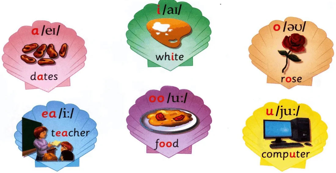 a in dates, i in white, o in rose, ea in teacher, oo in food, u in computer
