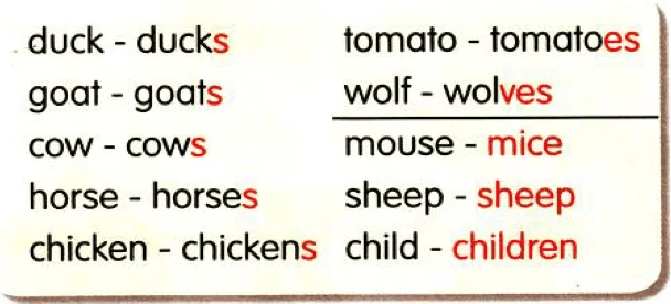 duck ducks, goat goats, cow cows, horse horses, chicken chickens, tomato tomatoes, wolf wolves, mouse mice, sheep sheep, child children