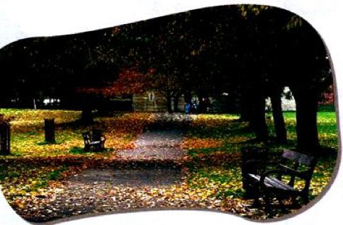 A park with trees, a path and benches