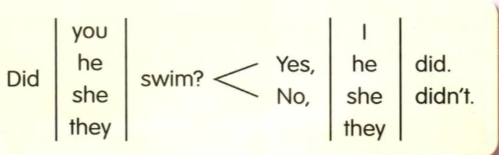 Table: Did you, he, she, they swim? Yes, I, he, she, they did. No, didn't.