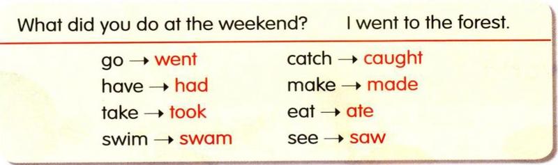Table: What did you do at the weekend? I went to the forest. go went, have had, take took, swim swam, catch caught, make made, eat ate, see saw