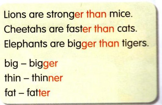 Grammar box: Lions are stronger than mice. Cheetahs are faster than cats. Elephants are bigger than tigers. big bigger, thin thinner, fat fatter