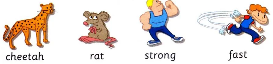 Pictures of a cheetah, a rat, a strong man and a boy running fast