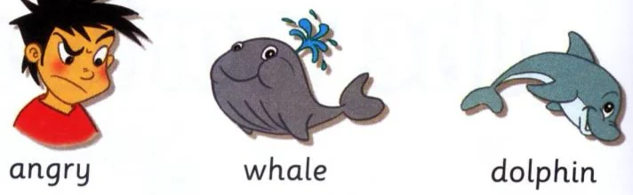Pictures of an angry boy, a whale and a dolphin