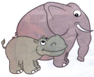 A big elephant stands behind a smaller hippo
