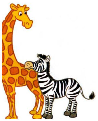 A tall giraffe standing next to a smaller zebra