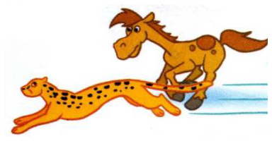 A cheetah running in front of a horse