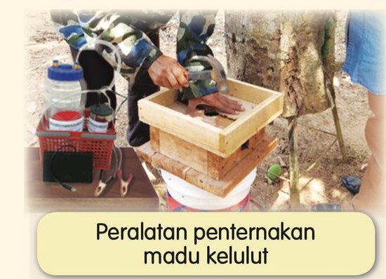Peralatan penternakan madu kelulut: kotak sarang kelulut, balang dan bekas madu