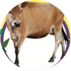 Seekor lembu