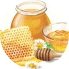 Sebalang madu dan sarang lebah