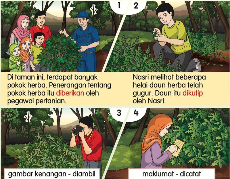 Empat gambar di taman herba: penerangan pegawai, Nasri mengutip daun, ayah mengambil gambar, ibu mencatat maklumat