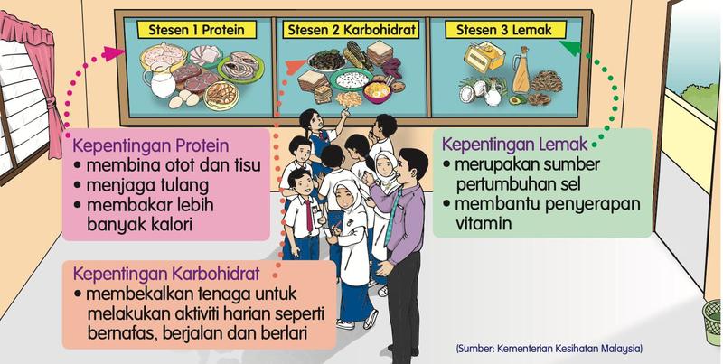 Tiga stesen makanan: protein, karbohidrat dan lemak, dengan kepentingannya