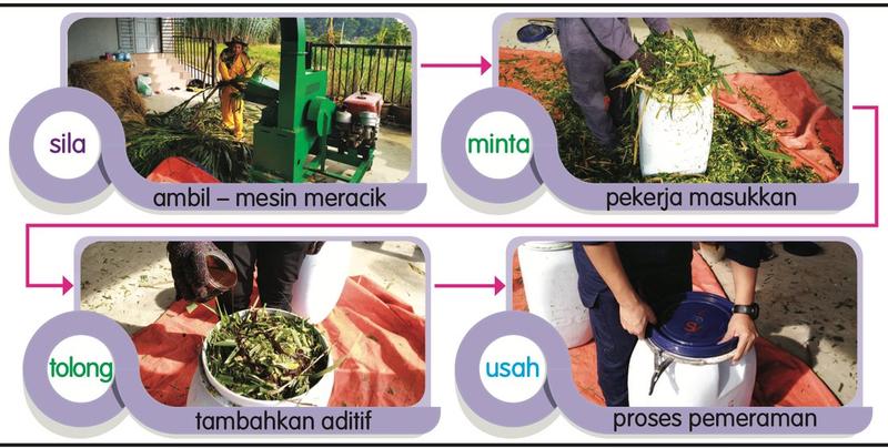 Empat gambar proses membuat makanan kambing
