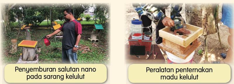 Penyemburan salutan nano pada sarang kelulut dan peralatan penternakan madu kelulut