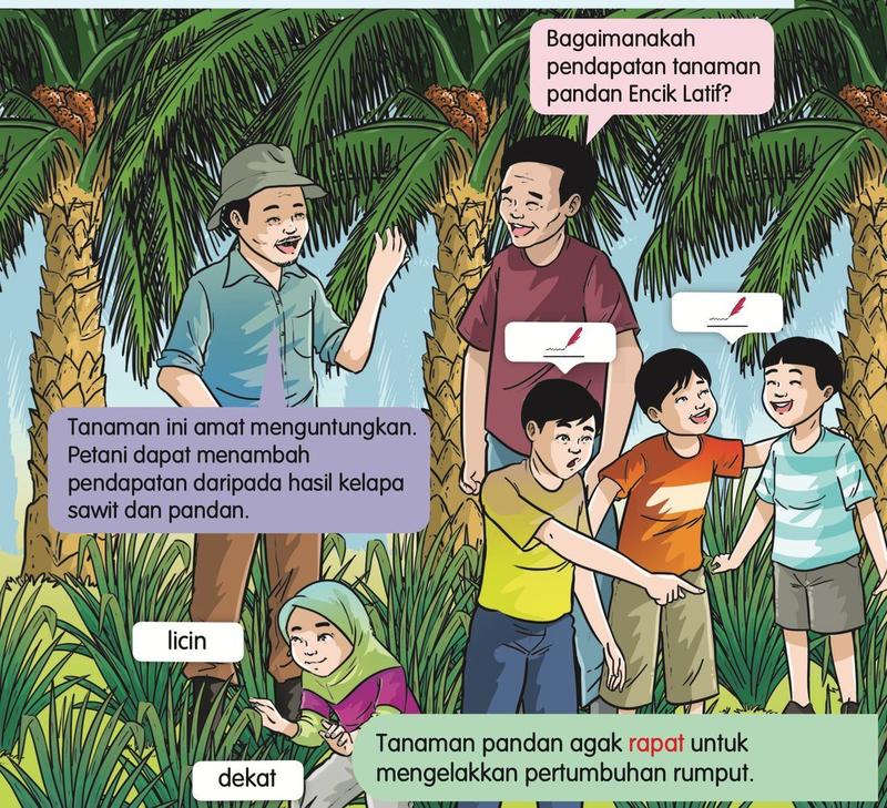 Encik Salim, Encik Latif dan kanak-kanak di ladang pandan dengan kad perkataan licin dan dekat