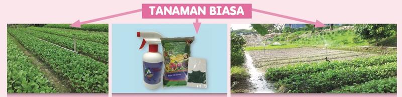 Tiga gambar tanaman biasa: ladang sayur, botol racun dan tanaman disiram