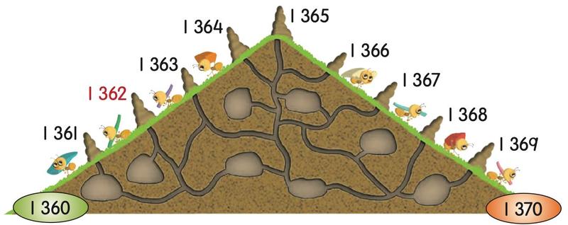 Busut semut dengan nombor 1 360 hingga 1 370 di sepanjang lerengnya