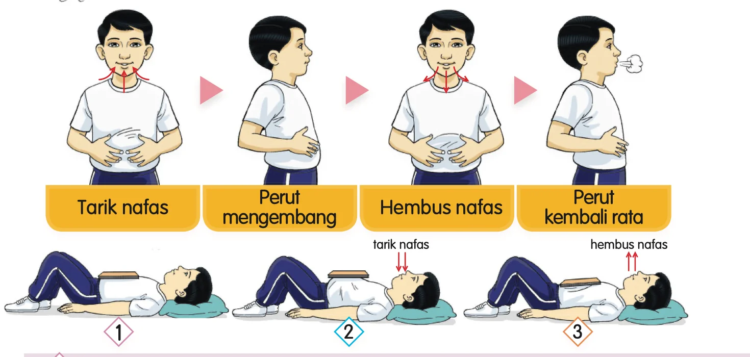Empat gambar murid berdiri: tarik nafas, perut mengembang, hembus nafas, perut kembali rata. Di bawahnya tiga gambar murid berbaring dengan buku di atas perut