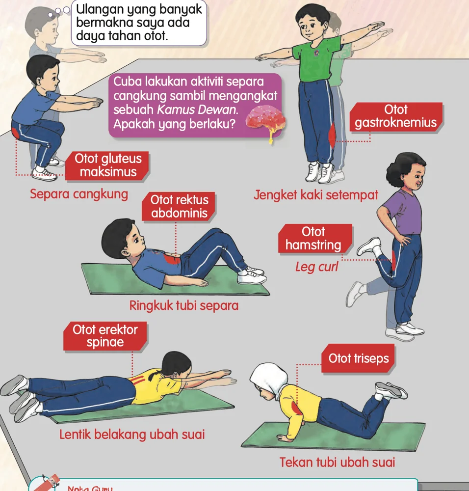 Aktiviti daya tahan otot dan otot yang digunakan