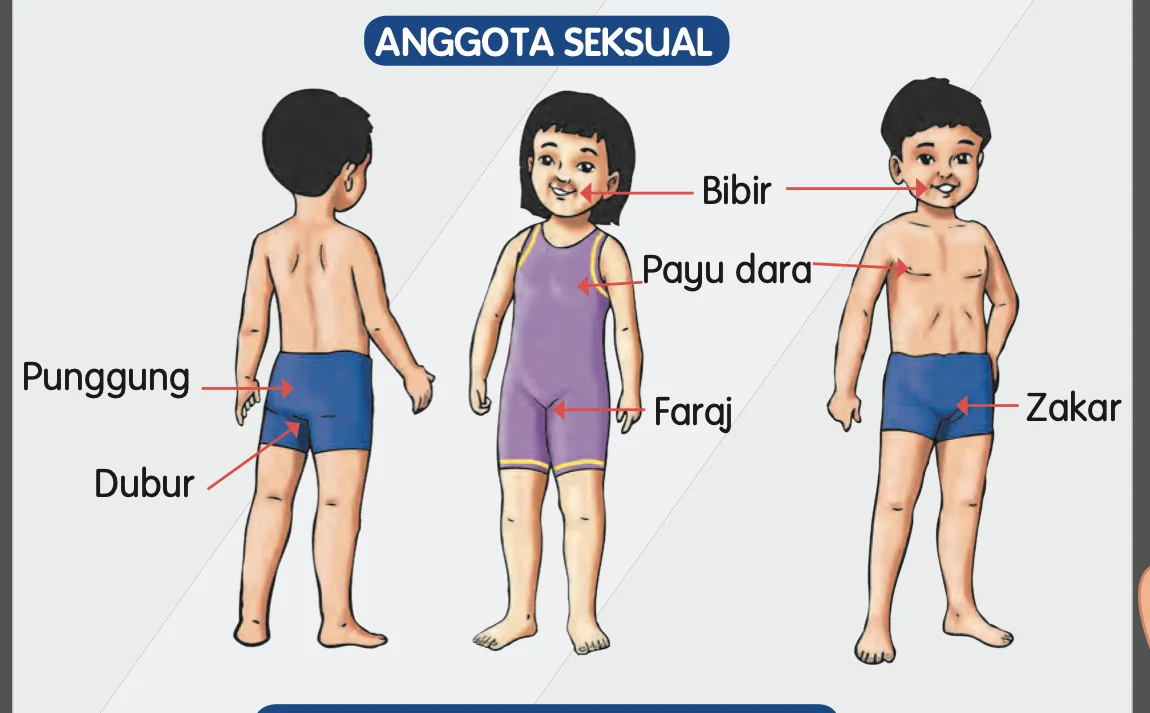 Tiga murid dengan anak panah menunjuk bibir, payu dara, punggung, dubur, faraj dan zakar