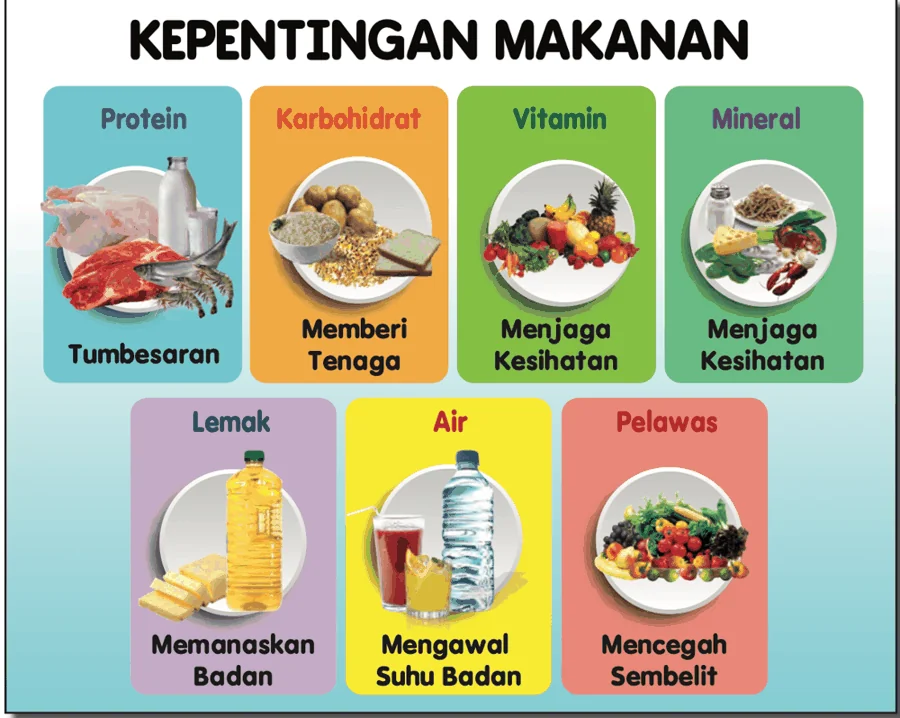 Poster kepentingan makanan: protein untuk tumbesaran, karbohidrat memberi tenaga dan seterusnya