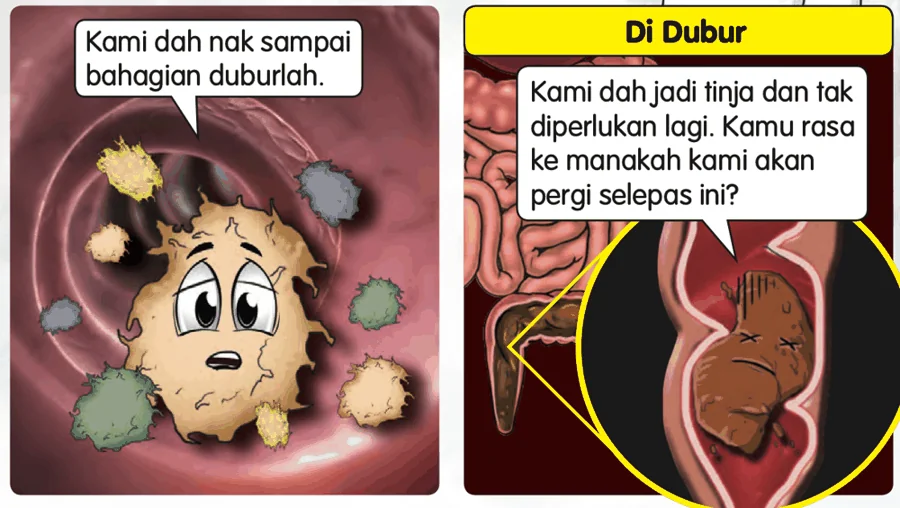 Makanan yang tidak diperlukan menjadi tinja di dubur