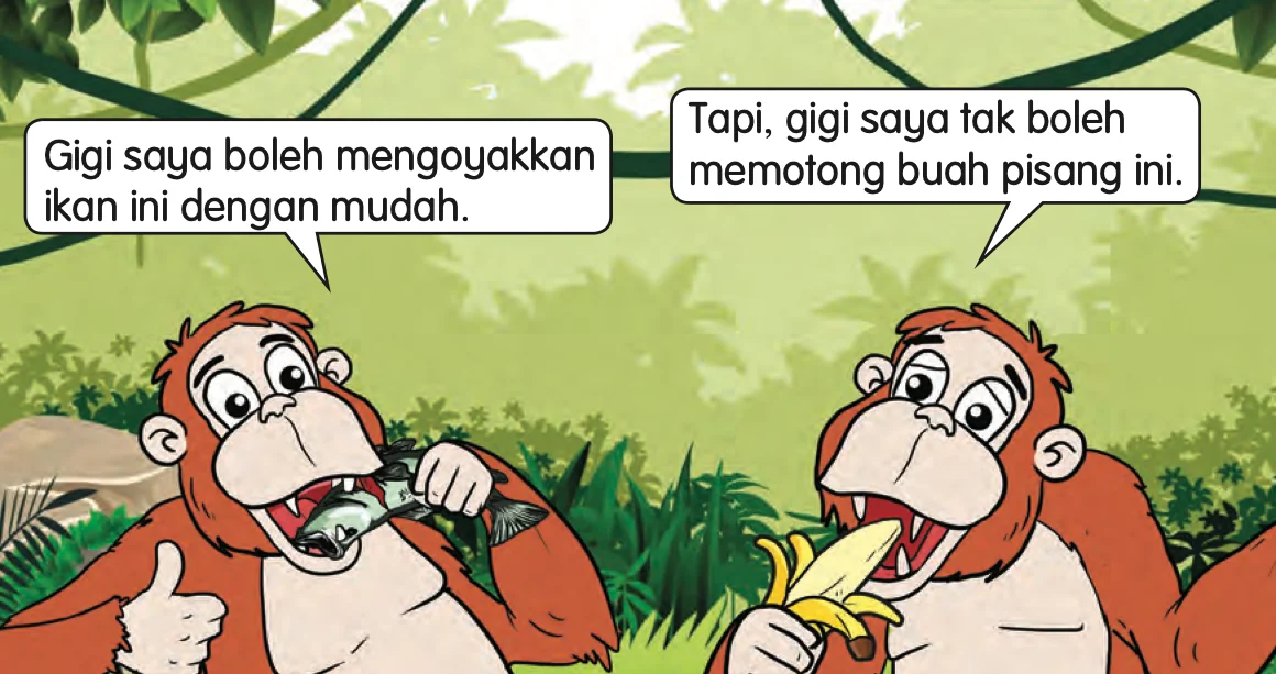 Dua kartun orang utan: seekor mengoyakkan ikan, seekor lagi tidak dapat memotong pisang