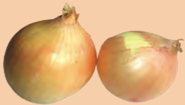 Dua biji bawang