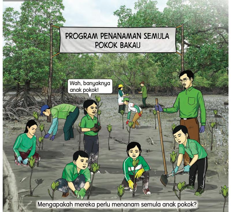 Murid dan guru menanam anak pokok bakau di atas lumpur dalam program penanaman semula pokok bakau